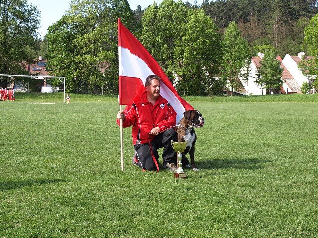 www.atibox.net * www.euroboxer.eu * www.boxergenealogia.eu
